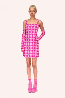Anna Sui Utopian Gingham Cutout Dress Spring '22