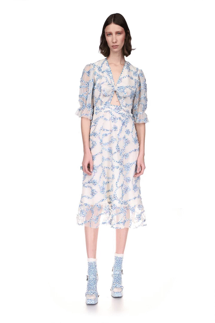 Anna Sui Ring Around The Rosie Puff Sleeve Tulle Dress 4 Anna Sui Ring Around The Rosie Puff Sleeve Tulle Dress