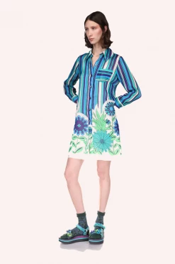 Anna Sui Dazzling Dahlia Stripe Button Down Dress