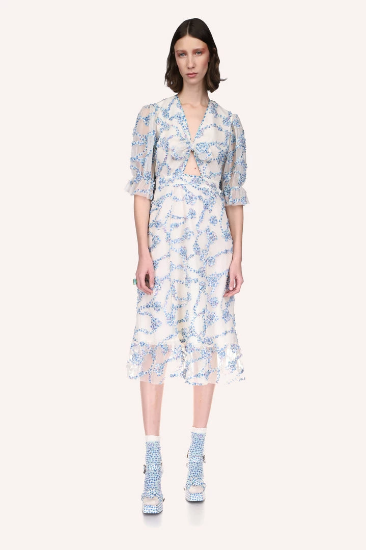 Anna Sui Ring Around The Rosie Puff Sleeve Tulle Dress 3 Anna Sui Ring Around The Rosie Puff Sleeve Tulle Dress