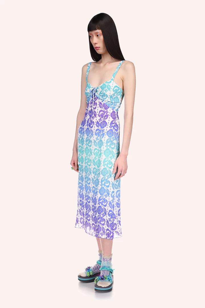 Anna Sui Radiant Ombre Slip Dress 7 Anna Sui Radiant Ombre Slip Dress