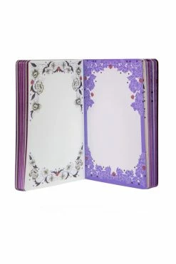 Chronicle Books LIFESTYLE & DECOR Flights Of Fancy Silver Foil Journal